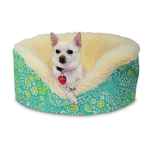 harmony pet care brandon harmony pet care brandon