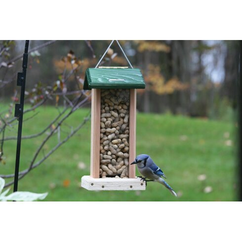 Birds Choice Cedar Whole Peanut Hopper Bird Feeder | Wayfair