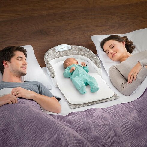 Baby Delight Snuggle Nest Comfort Infant Co-Sleeper | Wayfair.ca