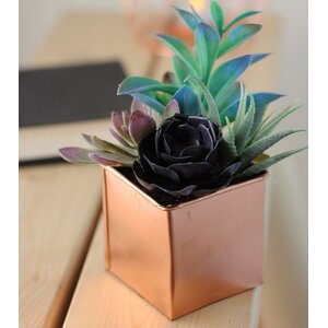 Artificial Desktop Mixed Succulent Arrangement Plant in Pot