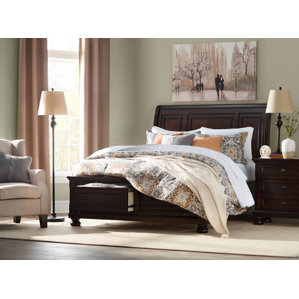 Barossa Storage Platform Bed by Darby Home Co