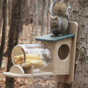 Recycled Jar Squirrel Feeder