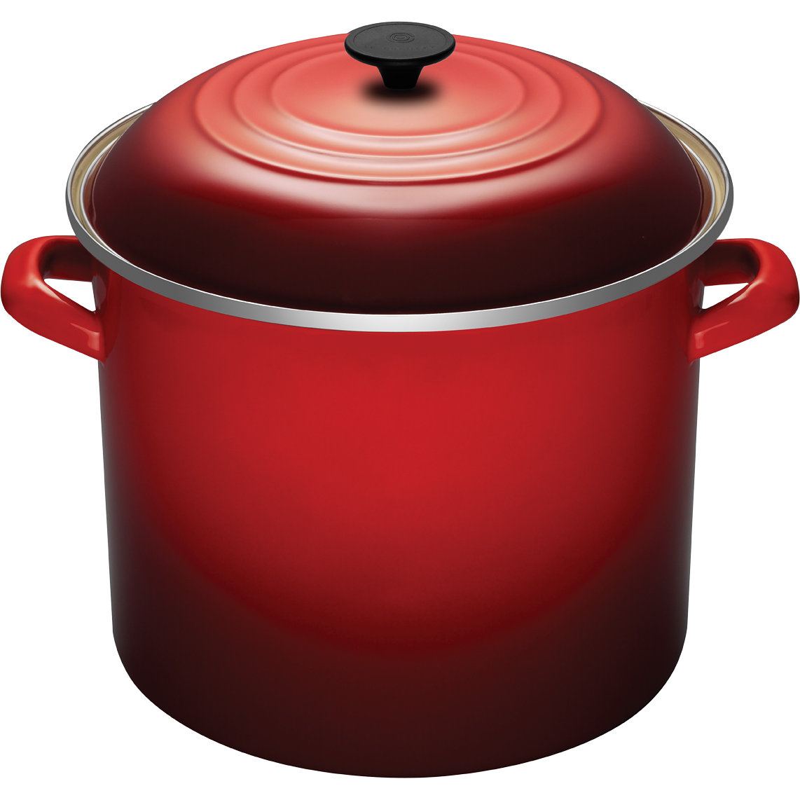 Enamel On Steel Stock Pot with Lid & Reviews AllModern