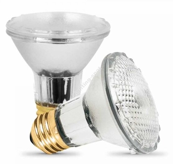 38W Halogen Light Bulb