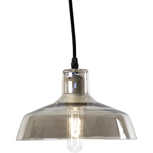 Noah 1-Light Indoor Pendant