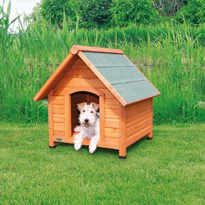 Log Cabin Dog House