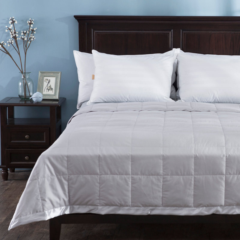 Alwyn Home Light Weight Duck Down Duvet Insert Reviews Wayfair Light Weight Duck Down Duvet Insert