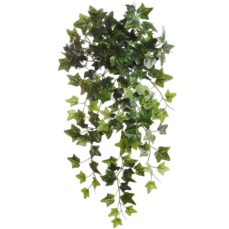 Larksilk 19&quot; Hanging English Ivy Plant &amp; Reviews Wayfair