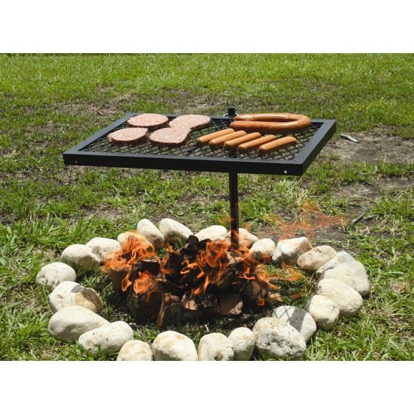 Texsport Heavy Duty Swivel Grill & Reviews Wayfair