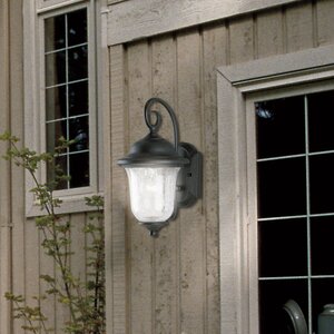 Studenburg 1-Light Outdoor Wall Lantern