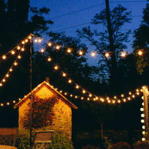100-Light Globe String Lights