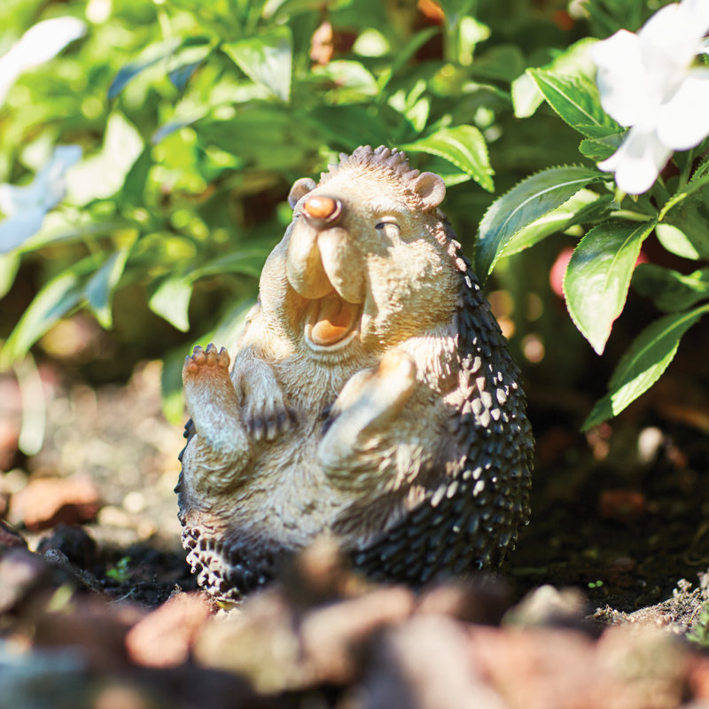 Charlton Home Bernard Laughing Hedgehog Statue & Reviews Wayfair