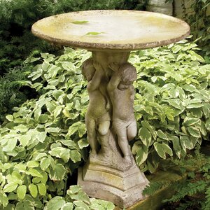 Bella Bimmbi Birdbath