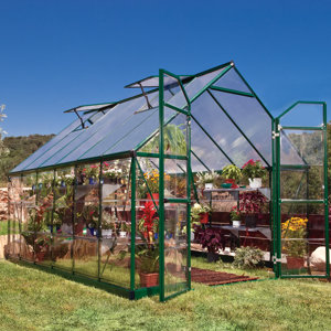 Balance 8 Ft. W x 12 Ft. D Greenhouse