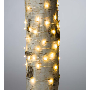 Battery String Lights You Ll Love Wayfair Firefly 10 Ft 60 Light Fairy String Set Of 6