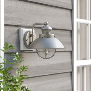 Archibald 1-Light Outdoor Barn Light