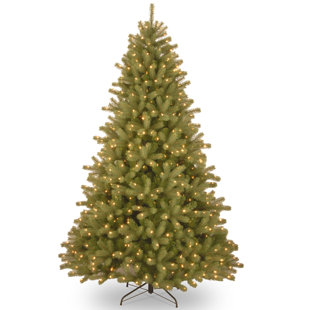 Dual Color Christmas Tree Wayfair Lakewood 7 5 Green Spruce Artificial Christmas Tree With 700 Dual Colored And White Lights