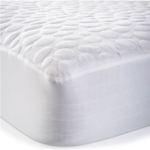 Pebbletex Tencel Bed Bug Encasement Hypoallergenic Waterproof Mattress Protector by Dream Decor