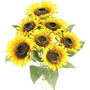 Sunflower Stem Full Bloom