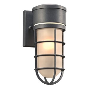 Cage 1-Light Outdoor Sconce