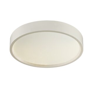 Tania 1-Light Flush Mount