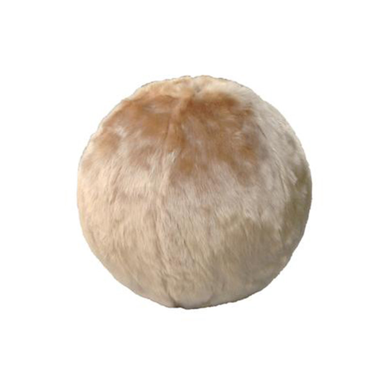 Ebern Designs Tremblay Yoga Ball Chair Wayfair Tremblay Yoga Ball Chair