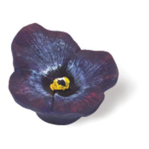 Flowers Novelty Knob