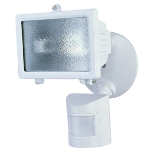 1-Light Outdoor Floodlight