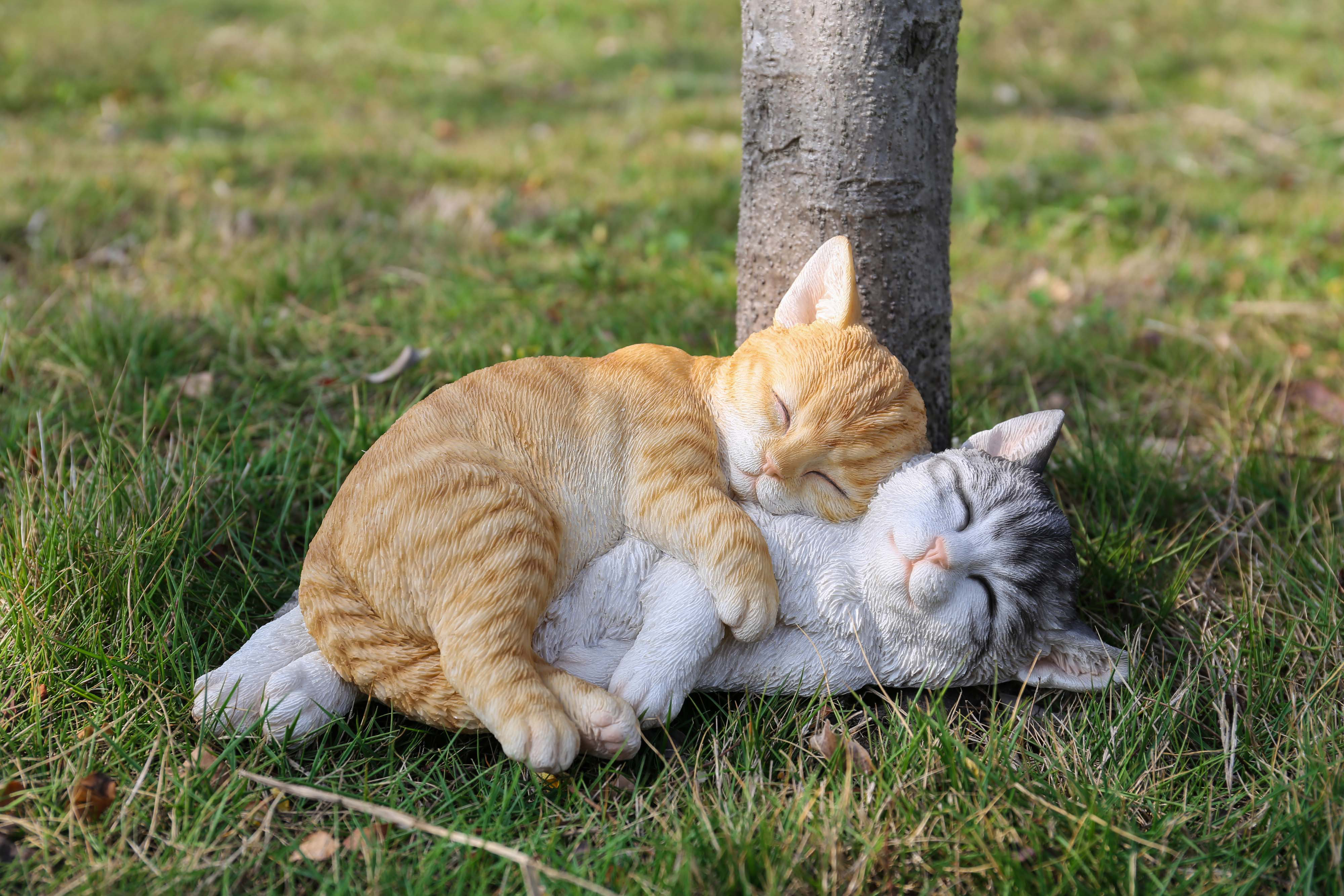 Hi Line Gift Ltd Tabby Cats Sleeping Statue Reviews Wayfair Hi Line Gift Ltd Tabby Cats Sleeping Statue Reviews Wayfair