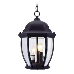 Beth 3-Light Outdoor Hanging Lantern