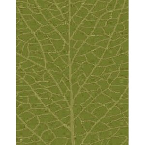 Green/Natural Indoor/Outdoor Area Rug