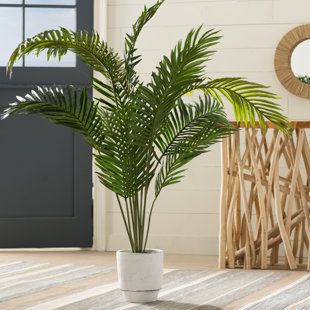 Modern Faux Plants Fls Allmodern Black Hammock Floor Palm Tree In Pot
