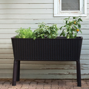 Extra Large Planters You Ll Love Wayfair Quickview