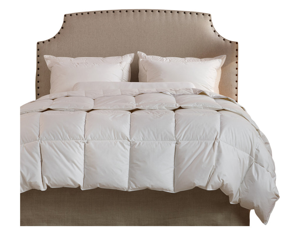 Down Inc. Organic Cotton Down Filled Fall Weight Duvet Insert & Reviews