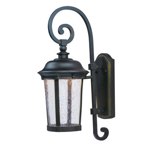 Sandusky 1-Light Outdoor Wall Lantern