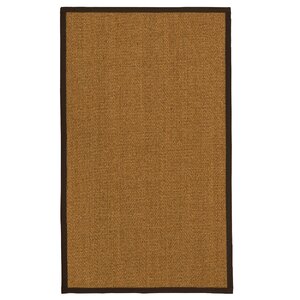 Aspasiau00a0 Fiber Sisal Brown/Fudge Area Rug