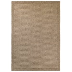 Brown Indoor/Outdoor Area Rug