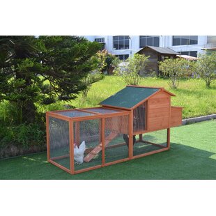 Ramp Small Chicken Coops Youll Love Wayfair