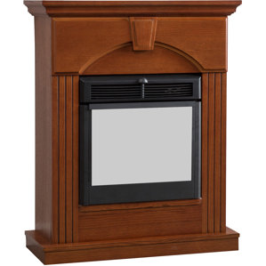 Oakridge Traditional Electric Fireplace by Alcott Hill