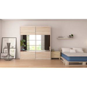 Zamorano Armoire with Mirror Sliding Doors by Brayden Studio