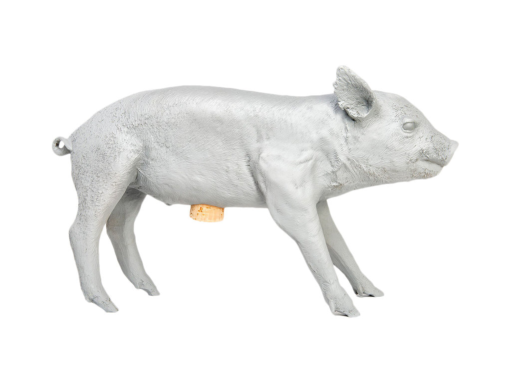 Areaware Reality Bank In The Form Of A Pig Piggy Bank Reviews - Defaultname areaware reality bank in the form of a pig piggy bank reviews - defaultname