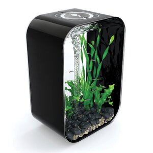 4 Gallon Life Aquarium Tank