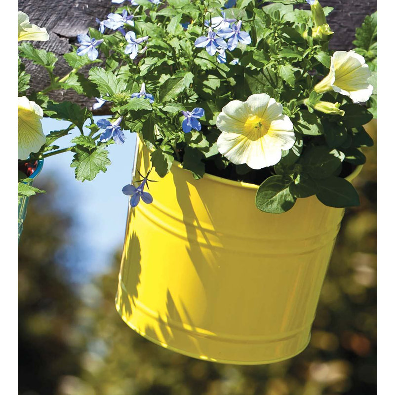 Wind Weather Bucket Metal Hanging Planter Reviews Wayfair