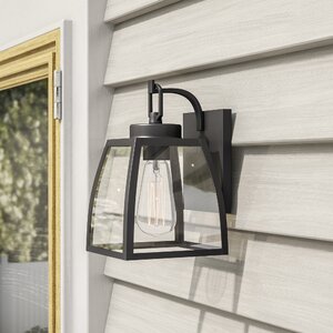 Silver Gulch 1-Light Outdoor Wall Lantern