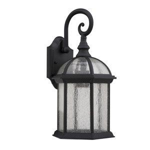 Springboro Divine 1-Light Outdoor Wall Lantern