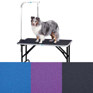 Dog Grooming Table with Arm