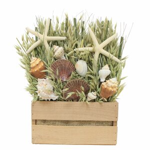 Oats Tabletop Centerpiece in Basket