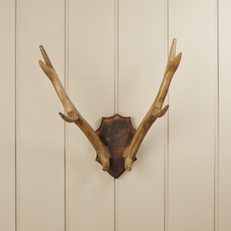 Wood Antler Mount Wall Décor & Reviews Birch Lane