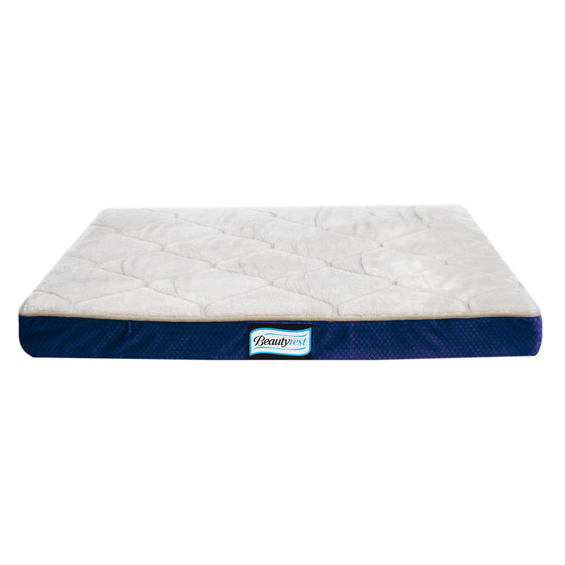 R2PPetLtd. Beautyrest Thera Bed Orthopedic Memory Foam Dog Bed & Reviews Wayfair