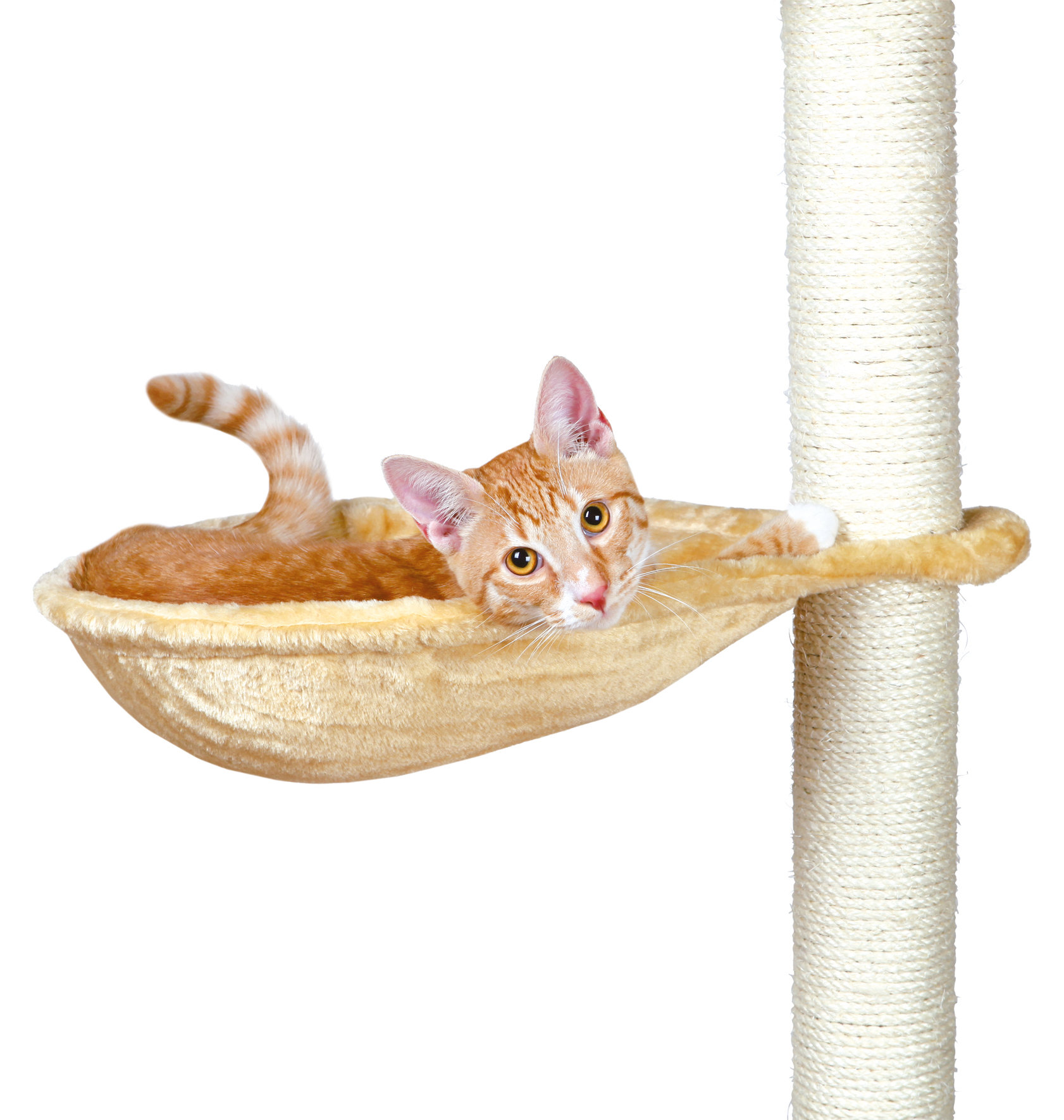 Tucker Murphy Pet Goldberg Hammock Attachment For Scratching Post Tucker Murphy Pet Goldberg Hammock Attachment For Scratching Post Wayfair